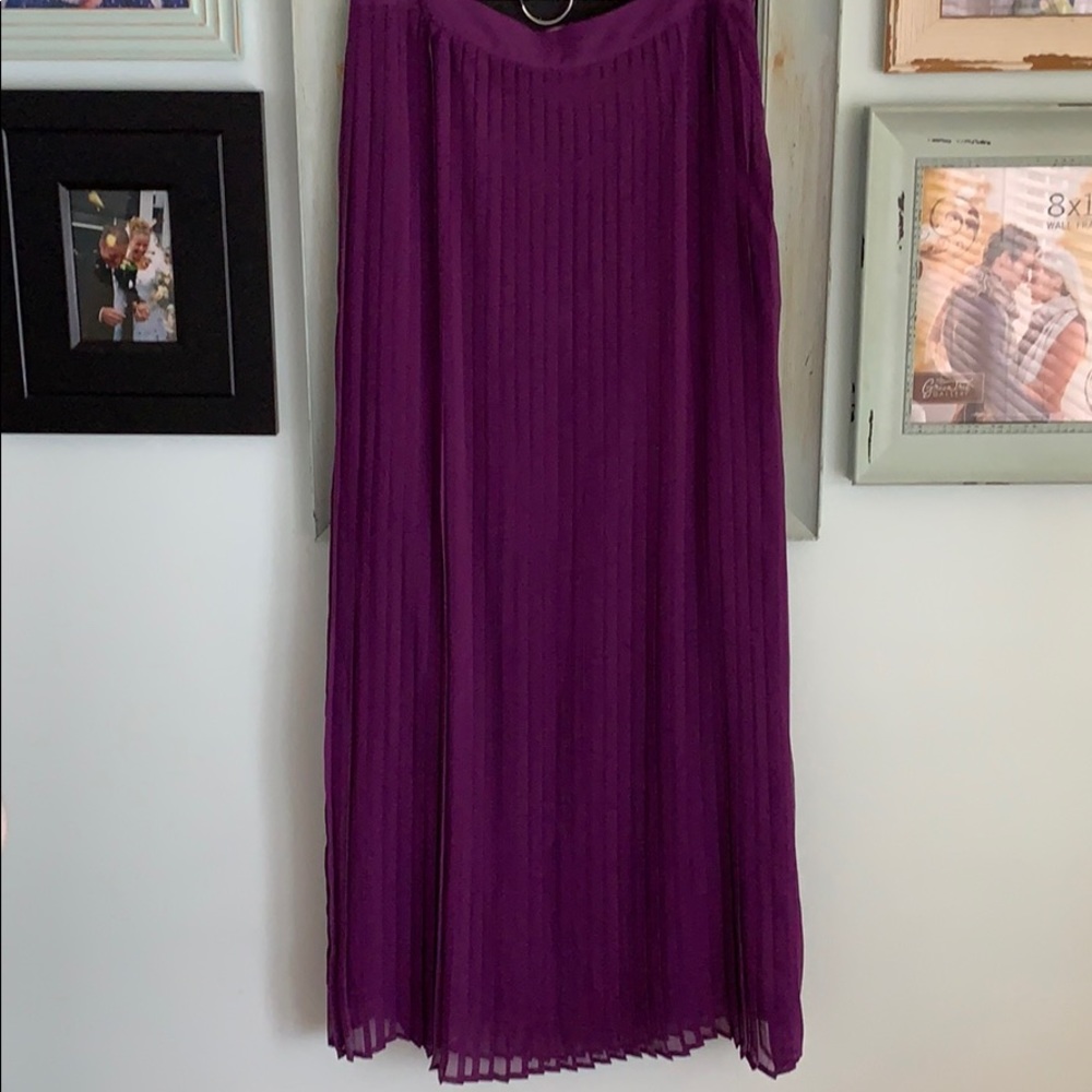 Deep purple, accordion maxi, Sabine- size L